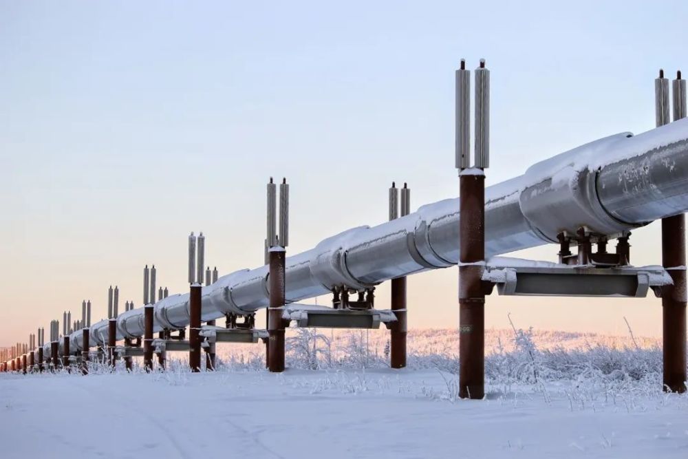 中国在高价购买俄罗斯原油吗？