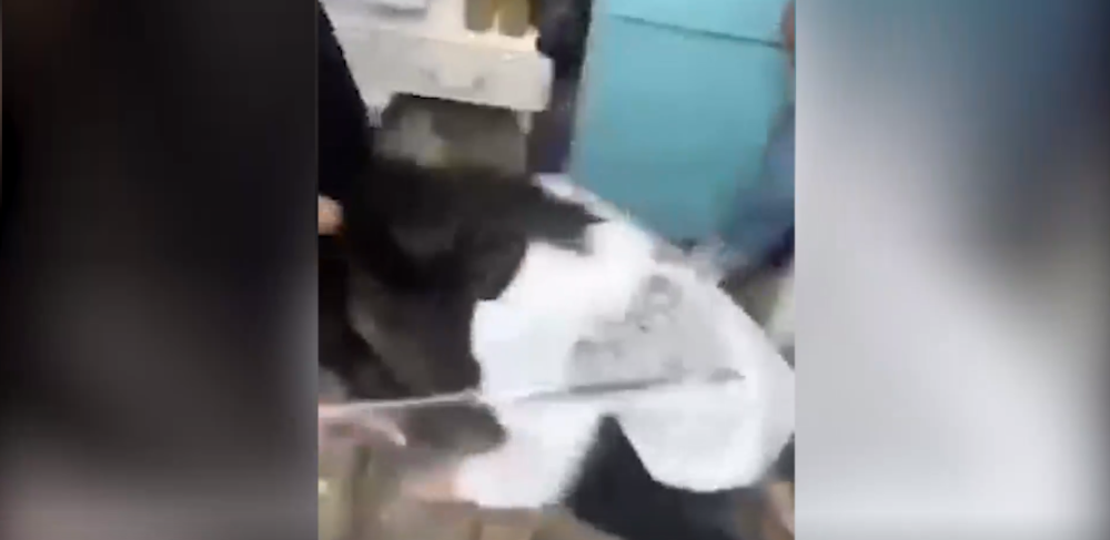 黑龙江，一女生被多名女孩殴打，扇耳光、踢肚子、扯头发、砸铁管