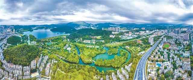 深圳加快建设人与自然和谐共生的现代化——写在六五环境日来临之际