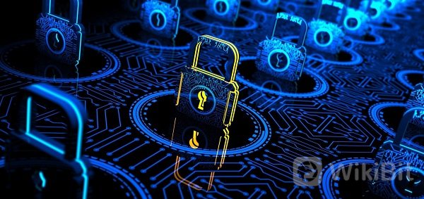 区块链技术如何用于网络和软件安全？