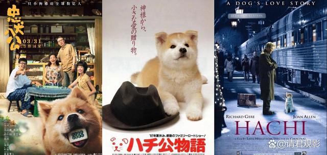国版《忠犬八公》今首映，此次翻拍能否超越日版与美版成为经典？