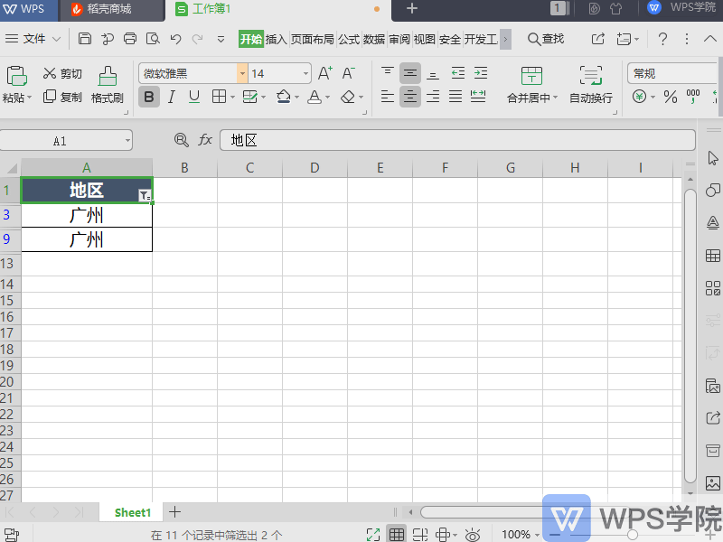 WPS如何使用表格（Excel）的筛选功能？